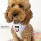 Pawsome Paws Boutique Pastel Plaid Adjustable Harness (S)