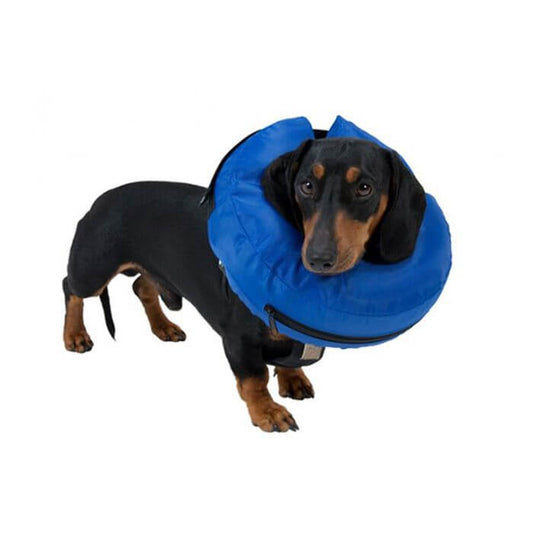 Buster Inflatable Collar Blue Large