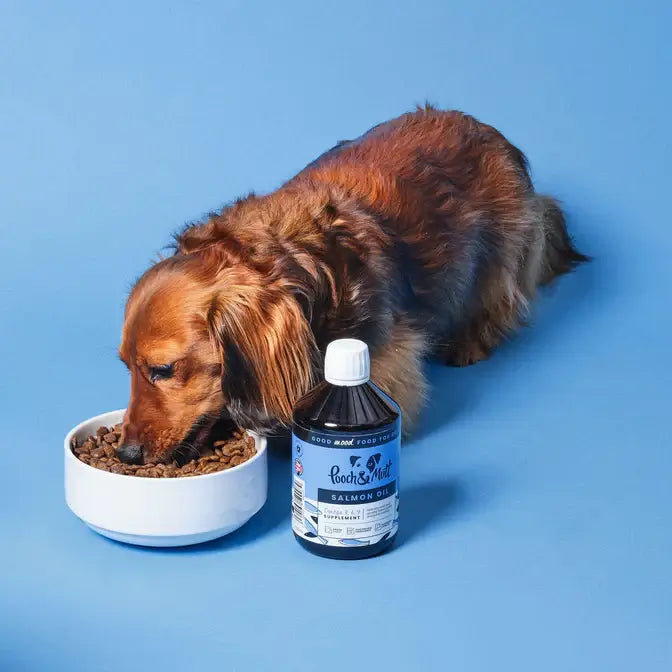 Pooch and Mutt Salmon Oil 500ml