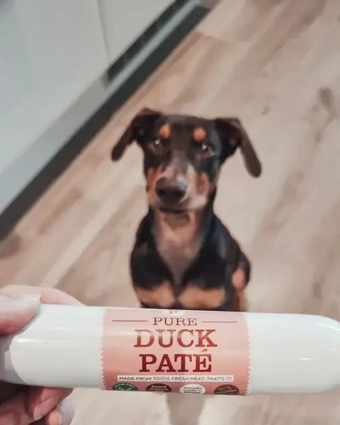 JR Pet Pure Duck Pate 200g