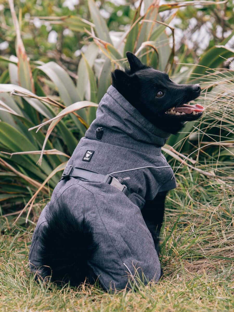 Hurtta expedition deals dog parka