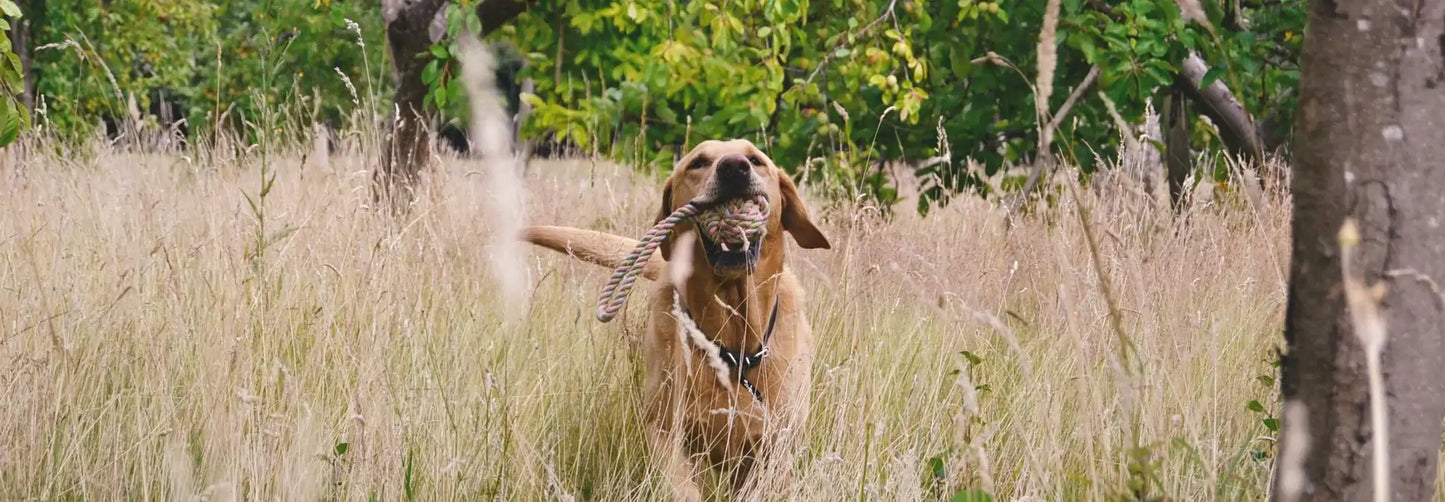 Beco Hemp Rope Ball on Loop (Medium)