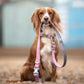 Hugo & Hudson M/L Pink Herringbone Dog Lead