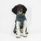 Hurtta Razzle-Dazzle Midlayer Blackberry 30cm