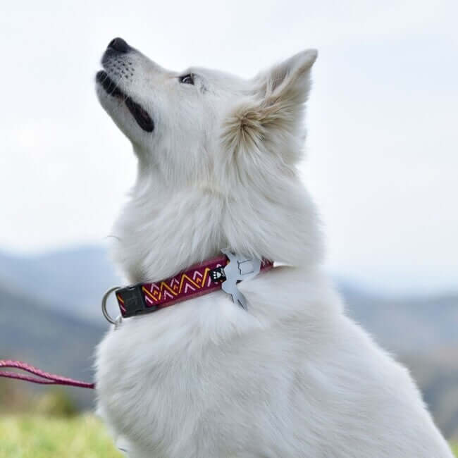 Hurtta Razzle-Dazzle Collar Beetroot 25-35cm