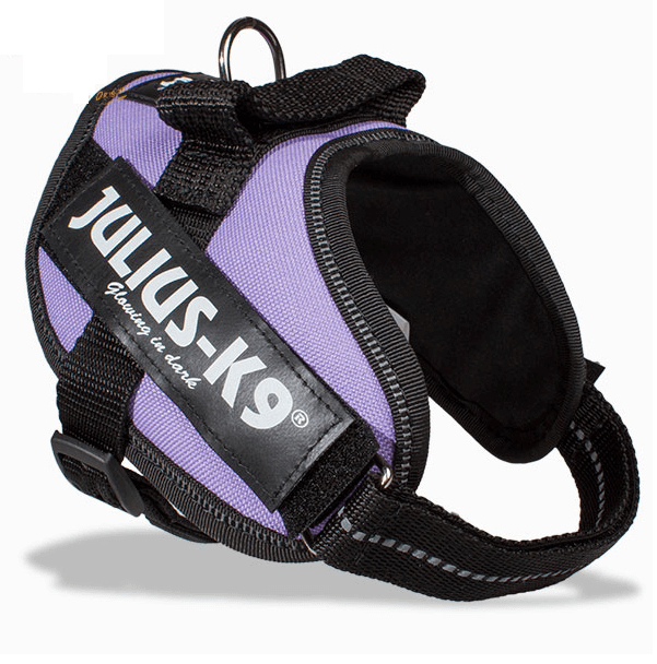 Julius-K9 IDC Powerharness Mini-Mini, Purple