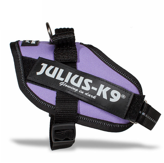 Julius-K9 IDC Powerharness Mini-Mini, Purple