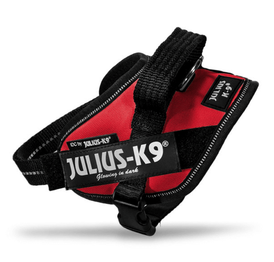 Julius k9 IDC?-Powerharness, Size: Mini-Mini, Red