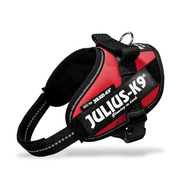 Julius k9 IDC?-Powerharness, Size: Mini-Mini, Red