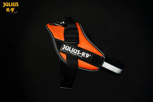 Julius-K9 IDC Powerharness Size 0, UV orange