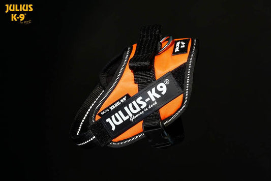 Julius k9 IDC?-Powerharness, Size: Mini-Mini UV orange