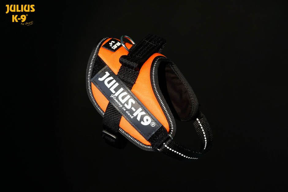Julius k9 IDC?-Powerharness, Size: Mini-Mini UV orange