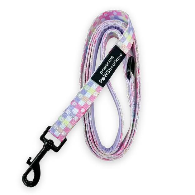 Pawsome Paws Boutique Pastel Plaid Lead