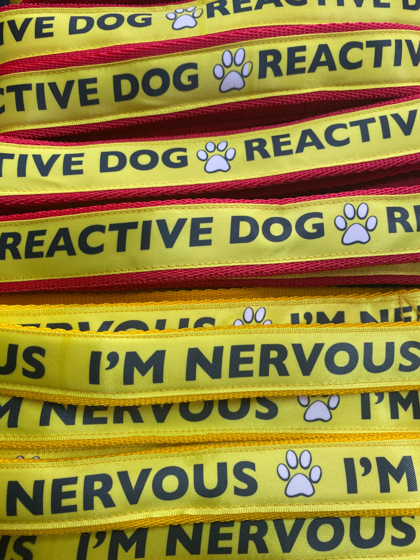 Reactive Dog Lead 1.2m