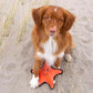 Beco Recycled Rough & Tough - Sindy the Starfish (Large)