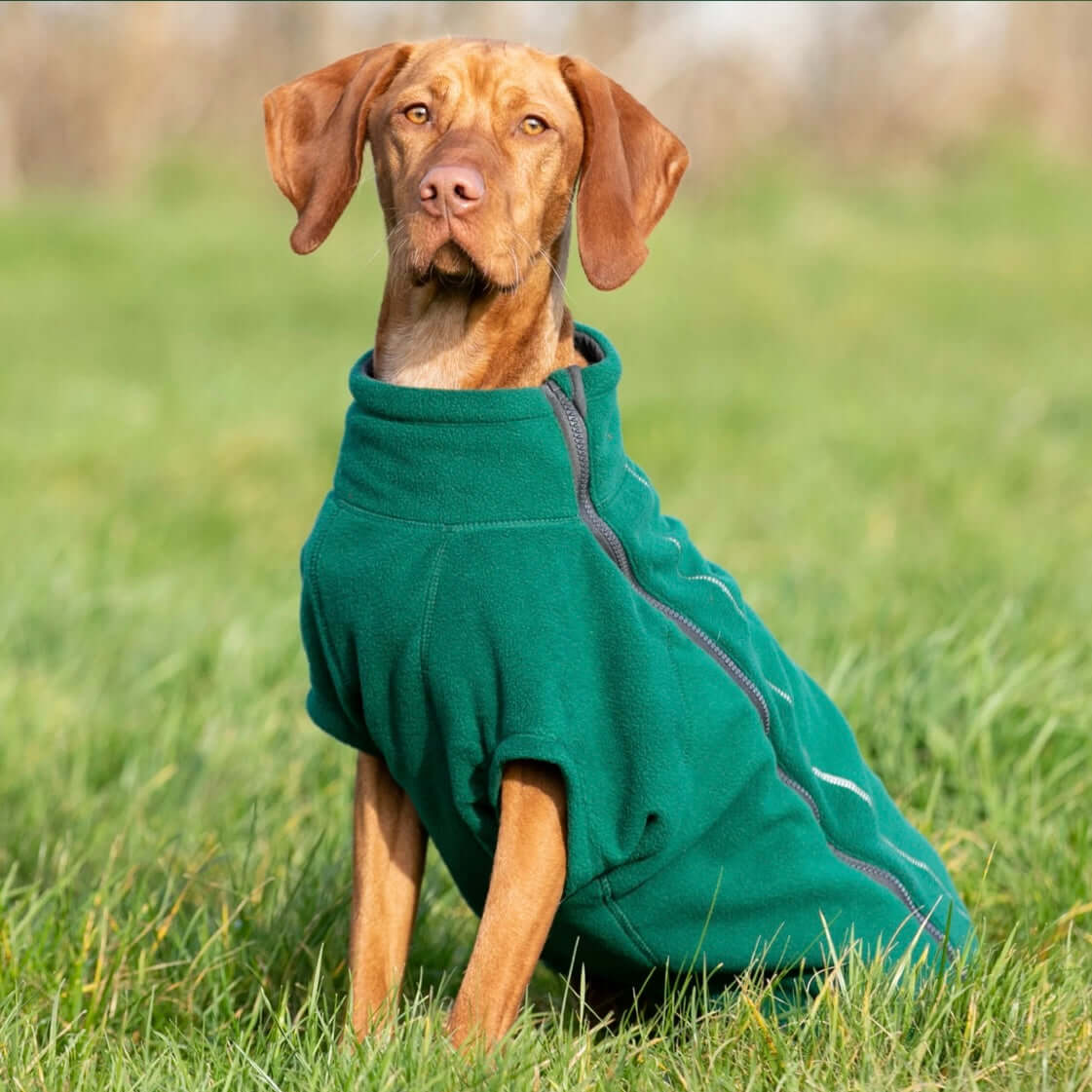 Hugo & Hudson Green Fleece (M)