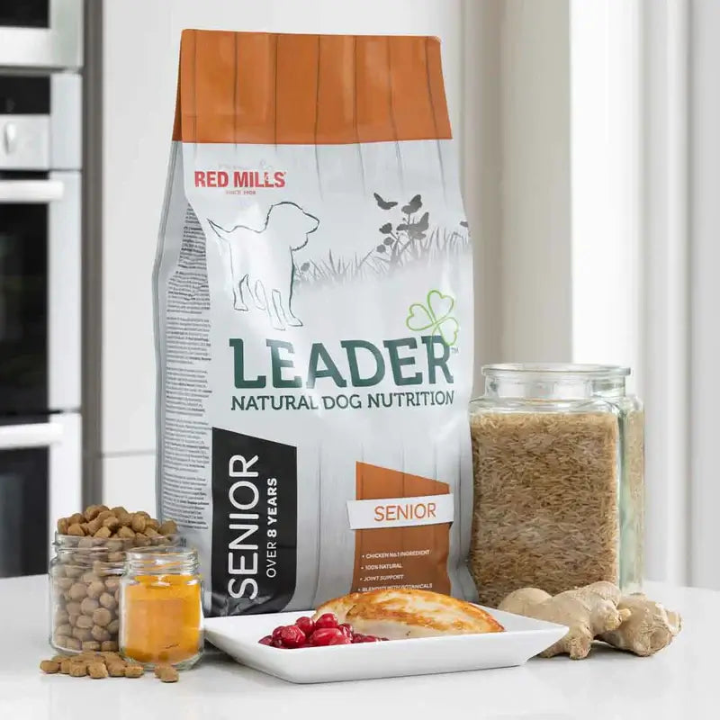 Leader Senior Dry 2kg