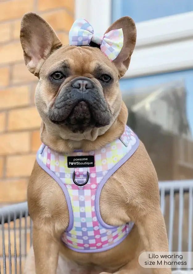 Pawsome Paws Boutique Pastel Plaid Adjustable Harness (M)