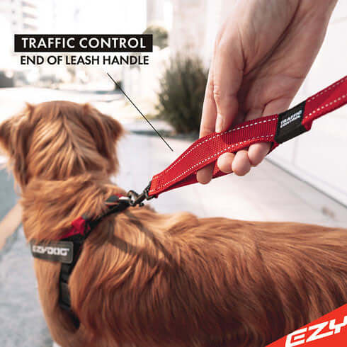 ZERO SHOCK LEASH 25`  -  RED