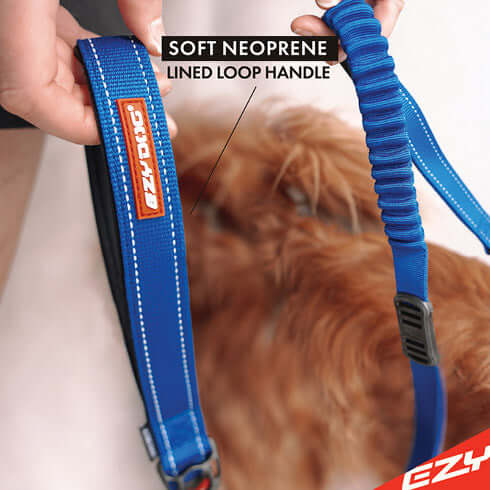 ZERO SHOCK LEASH 25`  -  RED