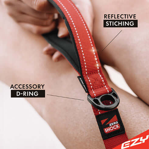 ZERO SHOCK LEASH 25`  -  RED