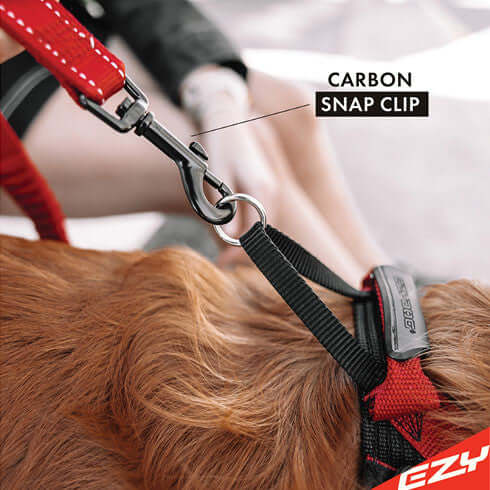 ZERO SHOCK LEASH 25`  -  RED