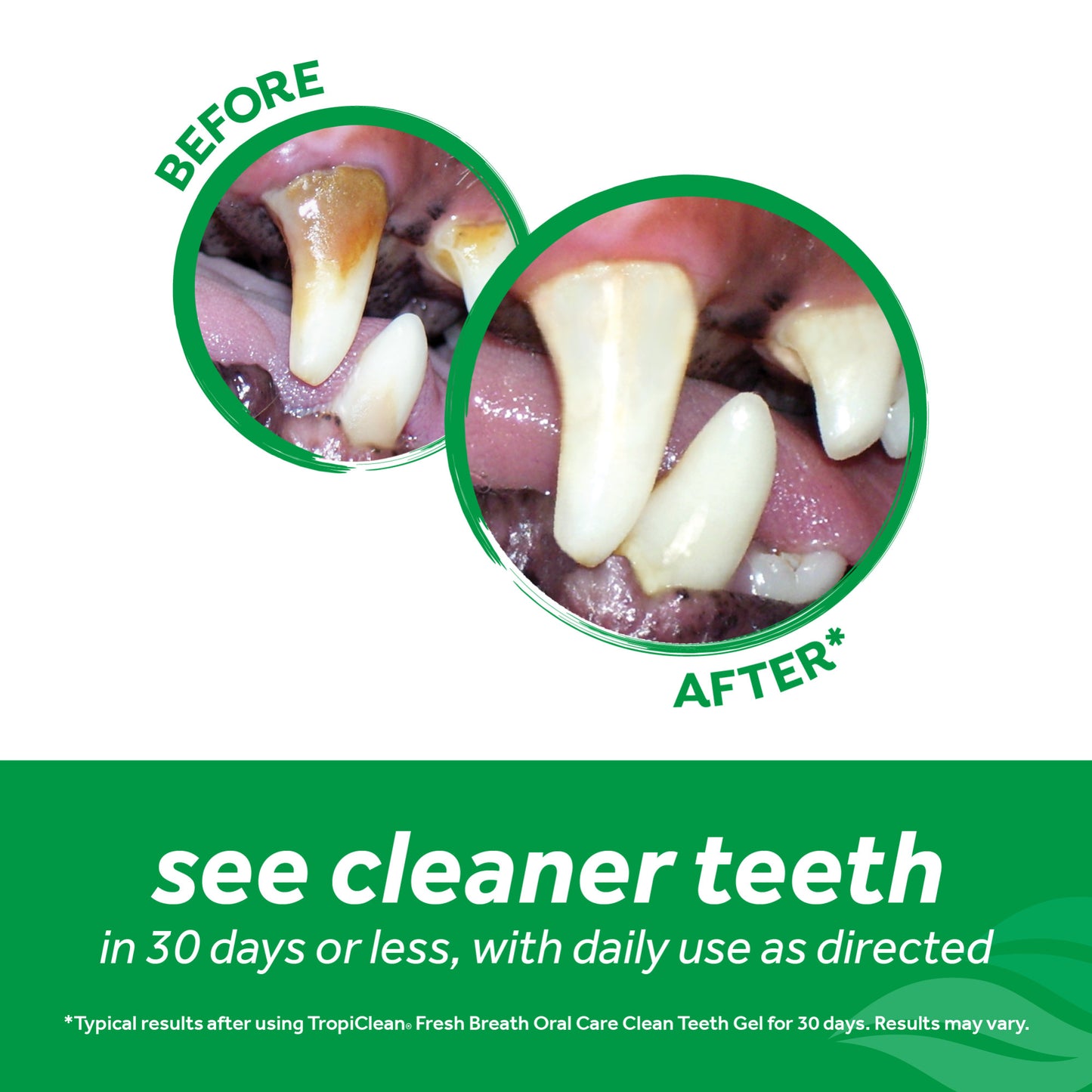 TropiClean Clean Teeth Oral Care Gel Vanilla Mint 59ml